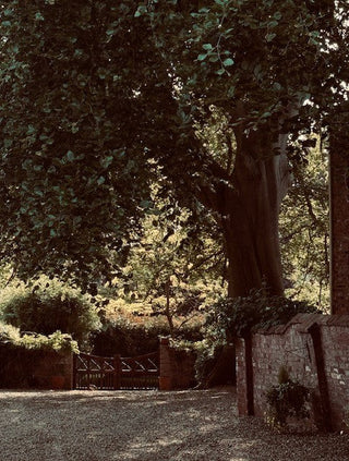 Exploring England Through Antiques: Our 2026 Buying Trip