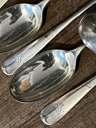 Vintage Dessert Spoon Set