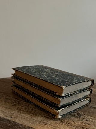 Antique Book Set