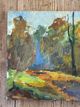 Sous-Bois d’Automne