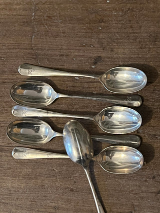 Vintage Dessert Spoon Set