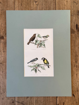 Étude d’Oiseaux (1866)