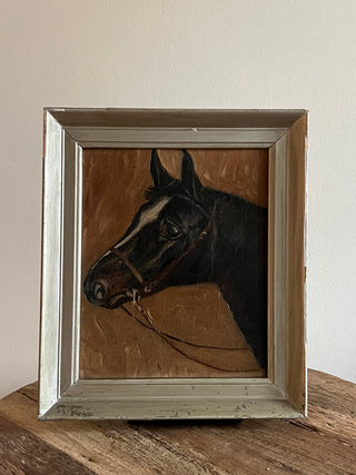 Portrait of a Horse