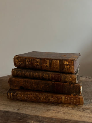 RARE Antique Book Collection Set