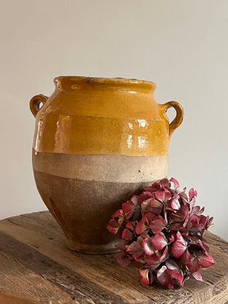 RARE Provence Yellow Confit Jug