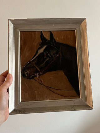 Portrait of a Horse