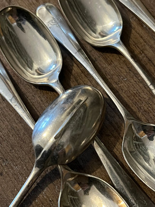 Vintage Dessert Spoon Set