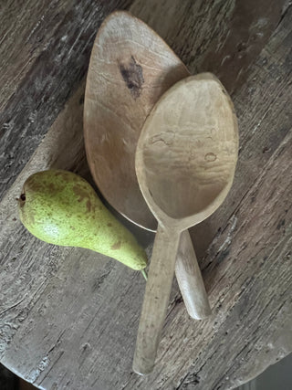 Primitive Scoop Set