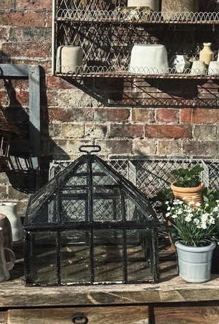 A black metal greenhouse-style lantern with a glass front and top handle, displayed on a rustic wooden surface against a brick wall with shelves and potted plants in the background.