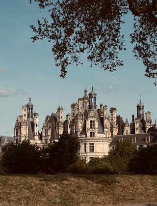 A scenic photograph of a large historic French chateau with ornate towers and steep roofs, framed by tree branches overhead and dark green shrubs in the foreground under a pale blue sky.
