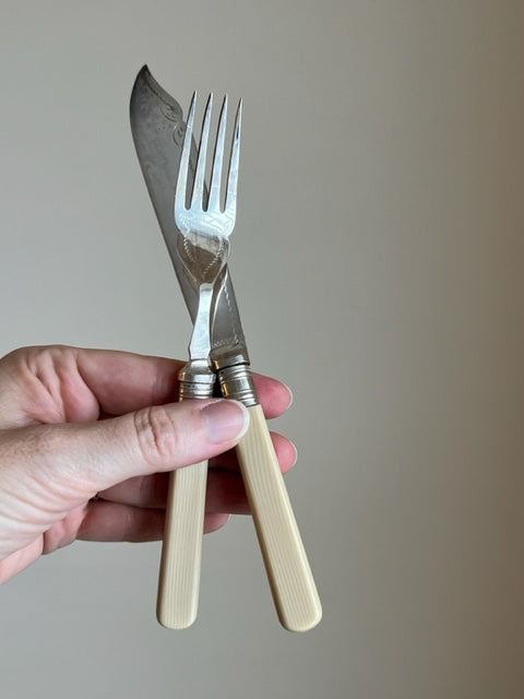 Fork and Knife Set in Box