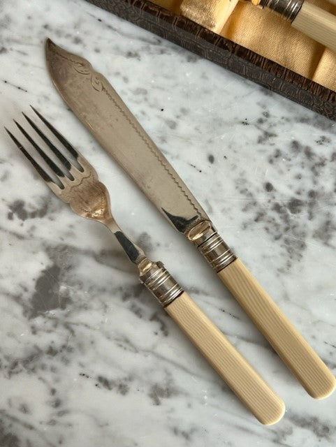 Fork and Knife Set in Box