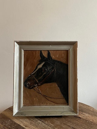 Portrait of a Horse